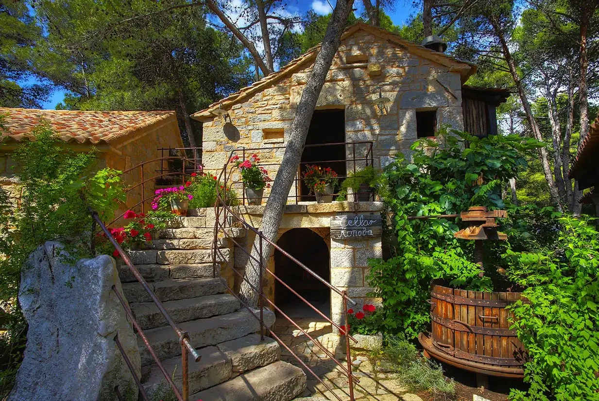 old dalmatian house